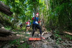 BIB: 
                            <button type="button" onclick="openModal(19392630)" class="btn btn-primary btn-sm float-right btn-popup" data-toggle="modal" data-target=".modal-high-quality">
                        <i class="fas fa-shopping-cart"></i> Add to Cart
                    </button>
                                            <button type="button" onclick="isThisMe(19392630, true)" class="btn btn-success btn-sm float-right btn-popup btn-isme hidden" data-toggle="tooltip" data-placement="bottom" title="นี่คือรูปของคุณใช่ไหม คลิกที่นี่เพื่อเอาเข้าอัลบั้ม">
                        <i class="fas fa-plus"></i> Add to album
                    </button>
                    <button type="button" onclick="isThisMe(19392630, false)" class="btn btn-warning btn-sm float-right btn-popup btn-isnotme hidden">
                        <i class="fas fa-ban"></i> Remove from album
                    </button>